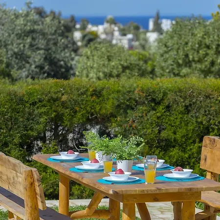 Saint Elias Villa Protaras